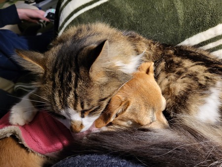 Nigel and Junebug