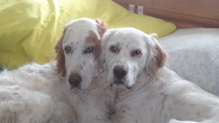 Sassy and Sky