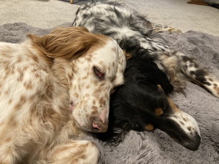 Maggie and Myah
