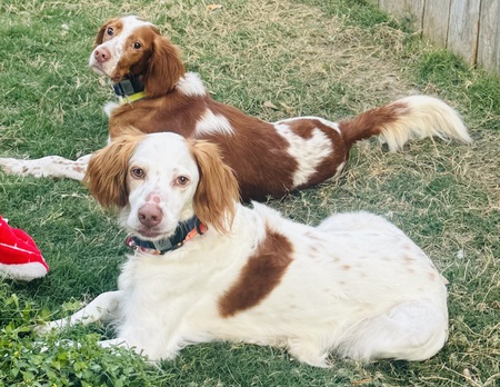 Forrest and Bubba