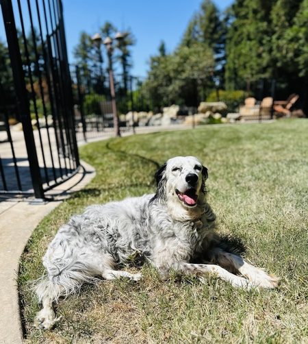 Lexie