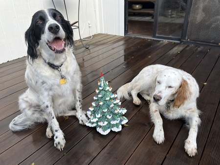 Lily & Spencer