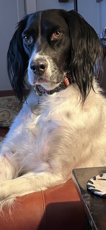 Rocky