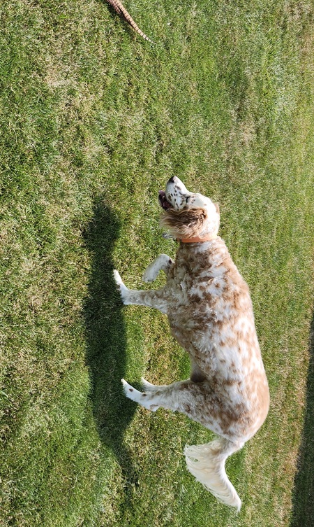 Rusty