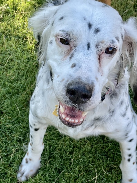 Gracie Pearl