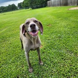 Entry image for Gabby