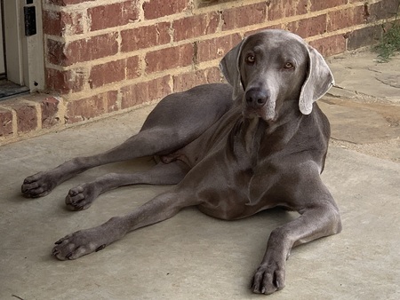 Entry image for Flash Billingsley. Clicking this image will show a larger photo