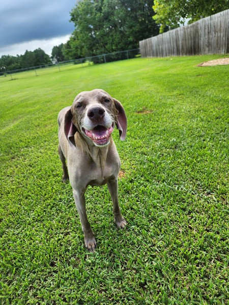 Entry image for Gabby. Clicking this image will show a larger photo
