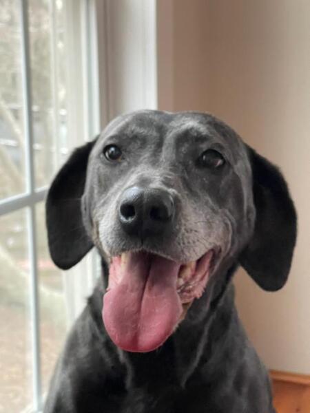 Entry image for Madison . Clicking this image will show a larger photo