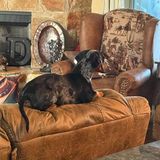 Entry image for Bella