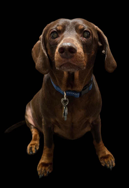 Rossi