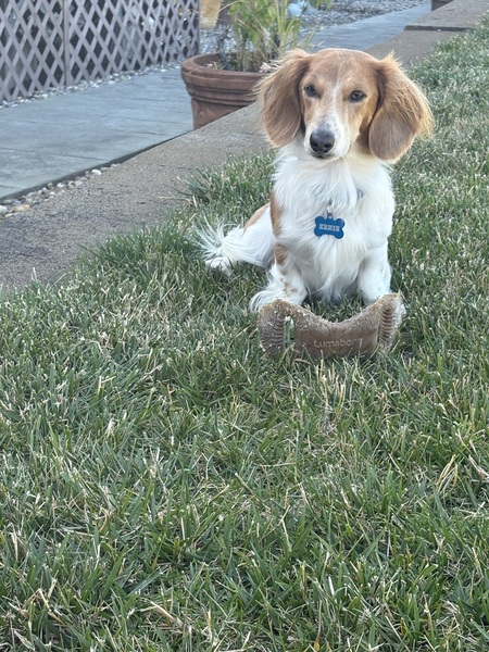 Ernie