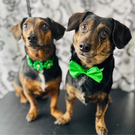 Peanut and Butter