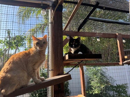 Coryo & Cali