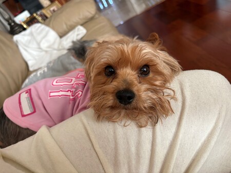 Entry image for Isabelle Dang. Clicking this image will show a larger photo