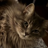 Entry image for Tweet