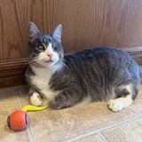 Entry image for Johnny aka John