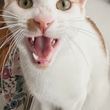 Entry image for Keebler