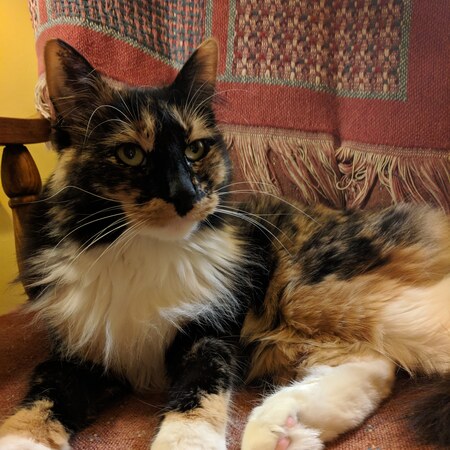 Madeline