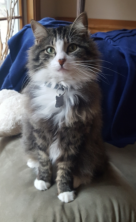 Roscoe