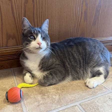 Entry image for Johnny aka John. Clicking this image will show a larger photo