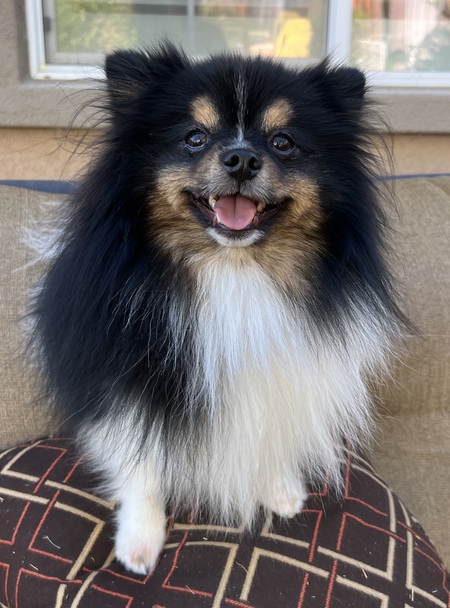 Sebastian 