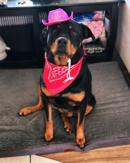 Rosie