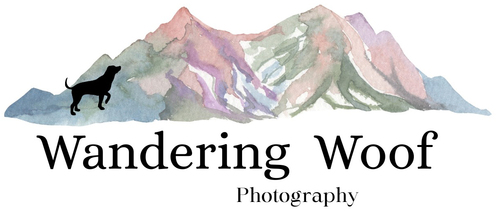 https://www.wanderingwoofphotography.com/