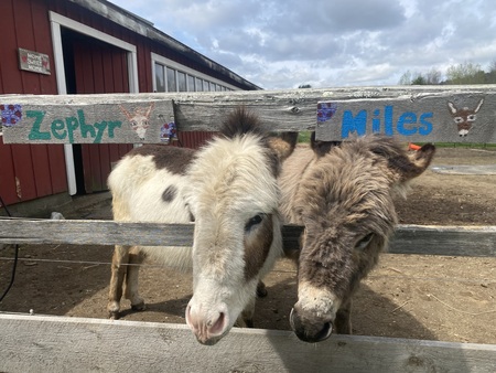 Miles and Zephyr 