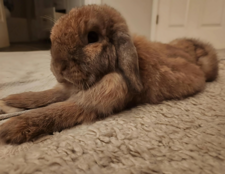 Winnie
