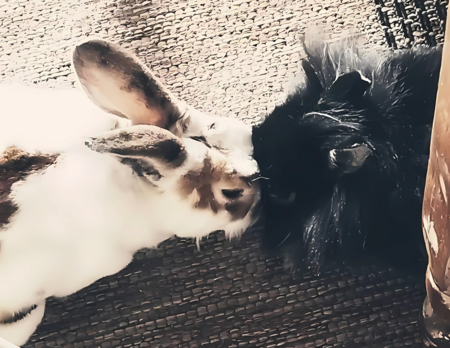 Benni and Brew