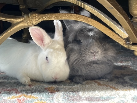 Margaret & Dorothy 