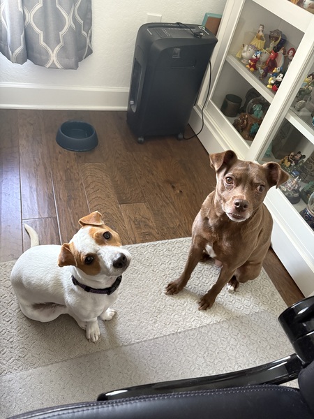 Kona & Dorie