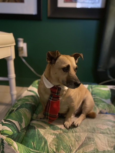 Cooper, formerly known as Vision