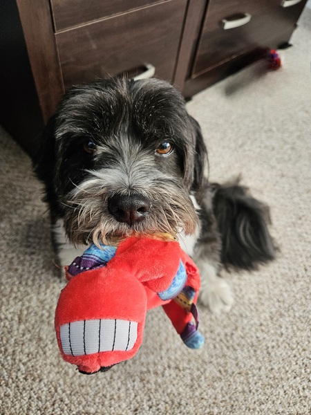 Obie