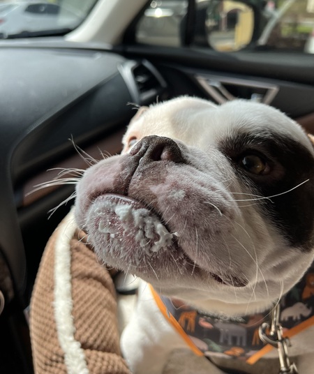 Cosmo
