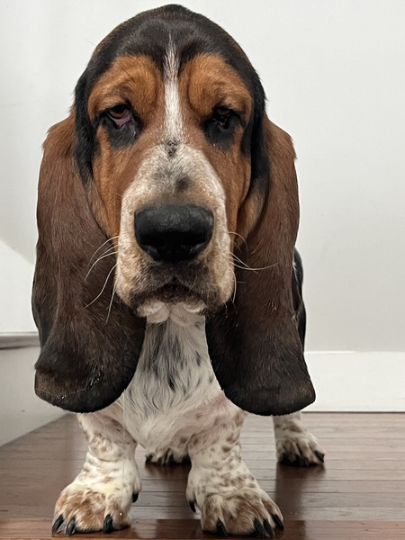 Henry