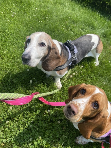 Buford and Lola