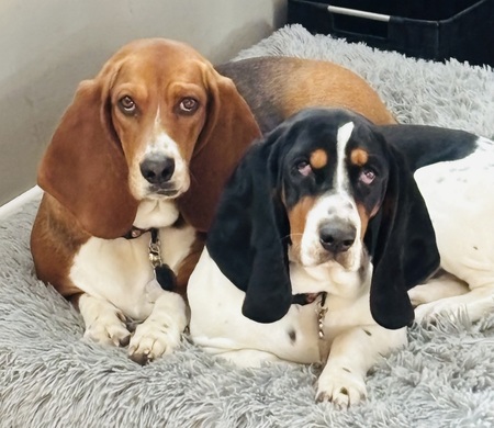 Bessie and Mabel 
