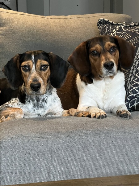 Tolly & Theodore