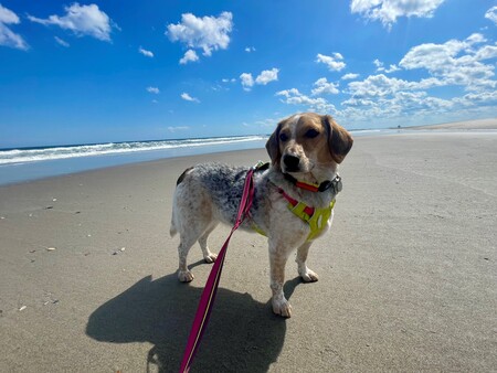 Maggie