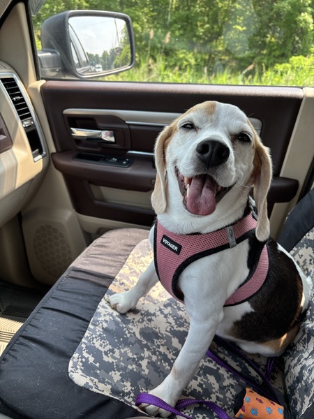 Rosie
