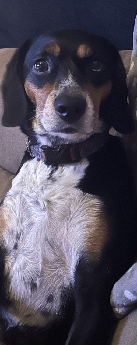 Lola