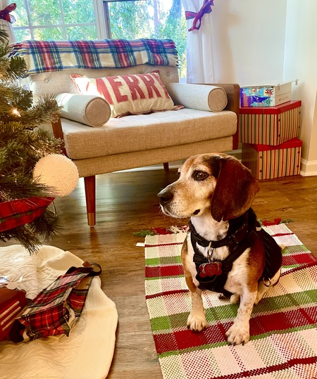 BENNY!