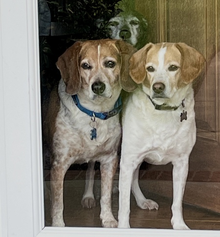 Charlie and Scrappy