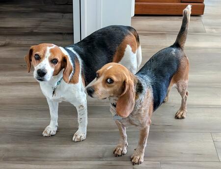 Roscoe and Ella