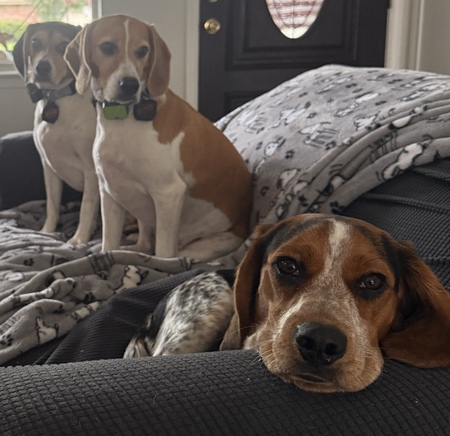 Franklin, Linus and Schroeder 