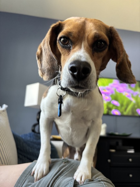 Axel