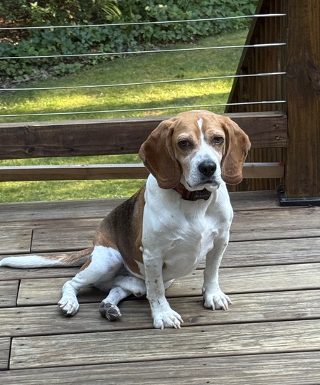 Pete