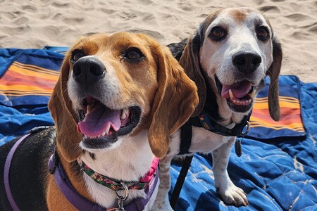 Maizey & Captain